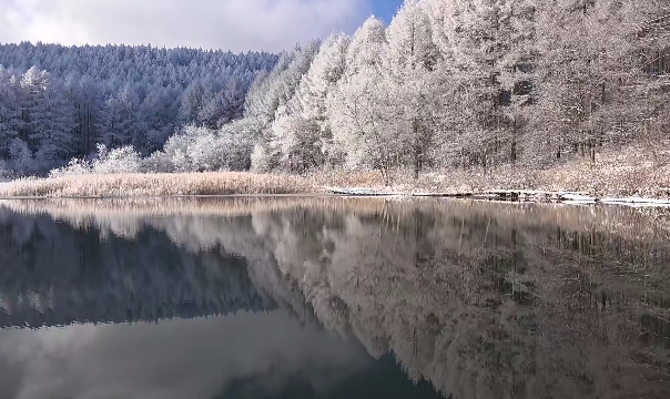 100+ 自然风景 视频素材